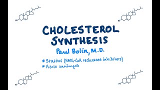 Cholesterol Synthesis  CRASH Medical Review Series [upl. by Kial]