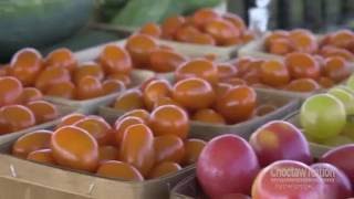 Choctaw Nation Farmers Market [upl. by Amalbergas]