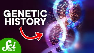 Can Your Environment Affect Your DNA  Epigenetics Explained [upl. by Nitz]