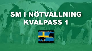 SM i Nötvallning 2024  Kvalpass 1 [upl. by Selym]