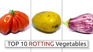 Top 10 Rotting Vegetable Timelapses [upl. by Nodal]