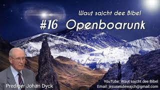 16 Botschaft von Openboarunk  Prediger Johan Dyck [upl. by Namurt]