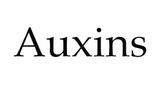 How to Pronounce Auxins [upl. by Meuser531]