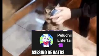 EL CASO DE PELUCHIN  TORTURÓ Y MATO A SUS GATOS [upl. by Lucais]