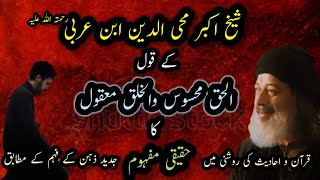 Ibne Arabi RA الحق محسوس والخلق معقول Shaoor e Bedar [upl. by Anirtal101]