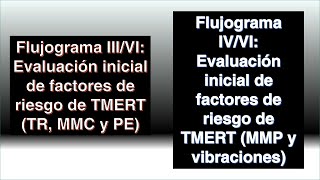 Flujograma III y IVVI Ev inicial de factores de riesgo de TMERT TR MMC PE MMP y vibraciones [upl. by Bendick]