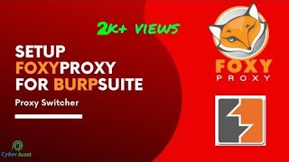 How to Setup Foxy Proxy  Burp Suite  Proxy Switcher  Firefox [upl. by Catharina390]