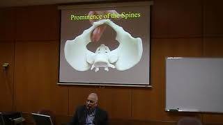 Contracted Pelvis and Cephalopelvic Disprortion CPD Dr Reda Ismail [upl. by Arriek]