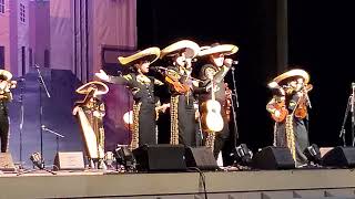 Edcouch Elsa Mariachi Juvenil AztecaMariachi Extravaganza 2022 [upl. by Damales306]