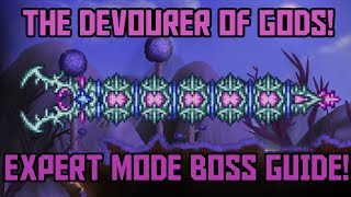 How to Beat the Devourer of Gods in Terraria Expert Mode Calamity Mod Boss Guide [upl. by Tija]