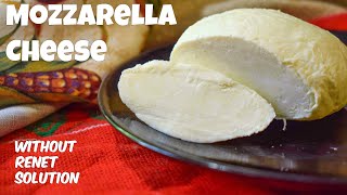 How to make Mozzarella Cheese at home  Homemade Mozzarella Cheese recipe by Cook With Us [upl. by Svensen829]