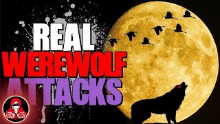 4 REAL Werewolf Attacks  Darkness Prevails [upl. by Yunfei]