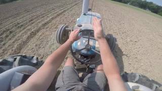 Planting Field Corn  IH 800 Planter [upl. by Schaab]