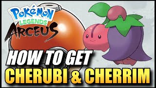 Pokemon Legends Arceus  How To Get Cherubi amp Cherrim  Cherubi amp Cherrim Best Locations [upl. by Ivz743]