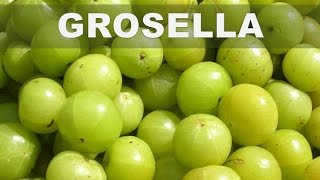 Estos son los 5 mejores beneficios del Amla o Grosella espinosa india para la salud del cuerpo [upl. by Higginbotham]