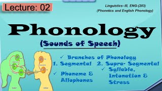 Phonology  What is phonology and its branches [upl. by Acul]