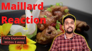 Maillard Reaction vs Caramelisation What is maillard reaction Fully explainedwithin 3 mins [upl. by Thibault152]