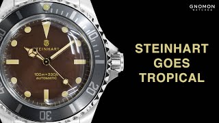 Steinhart Ocean 39 Tropic Plexi  Gnomon Exclusive [upl. by Neelya]