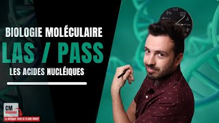 Les acides nucléiques  🧬 Adénine Cytosine Guanine Thymine Ce quil faut retenir maintenant [upl. by Aihsenod]