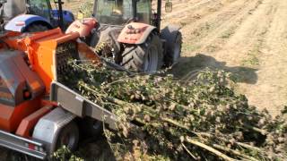 GANDINImeccanicachippershredder woodmachine à bois déchiquetéMaschinen geschreddert Holz [upl. by Amliw]