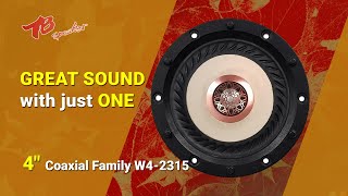 Tang Band TB Speaker W42315 4” Coaxial full range [upl. by Rocher]