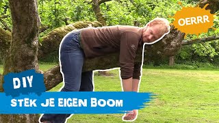 Boom stekken met de Boswachter  OERRR DIY [upl. by Adnohsat]