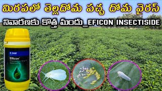 BASF EFFICON INSECTICIDE  మిరపలో తెల్లదోమ వైరస్ నివారణకు దమ్మున్న కొత్త మందు [upl. by Ayahsal883]