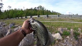 Crappie Fishing Post Spawn  Lake Guntersville [upl. by Aninaj]