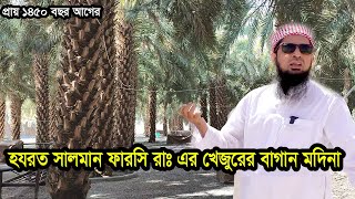 প্রায় ১৪৫০ বছর আগের হযরত সালমান ফারসি রাঃ এর খেজুরের বাগান মদিনা ইলিয়াছুর রহমান জিহাদী [upl. by Marijo645]