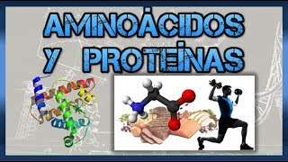 Biomoléculas Aminoácidos y proteínas [upl. by Airamzul]