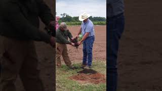 Oklahoma Field Day Pecan Tree Planting [upl. by Aserret]