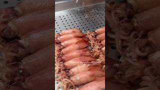 🦑 Very Delicious Boiled Neritic Squid 甘甜美味的清燙小卷 streetfood seafood squid shorts [upl. by Kra]