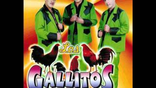 cajonsito gallitos de chihuahua [upl. by Dustie]