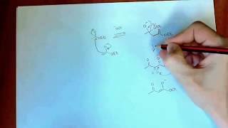 Chemistry 3 Acylation of Enolates Claisen Condensation [upl. by Grof]