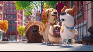 Mascotas  Trailer 3 español HD [upl. by Kerrill]