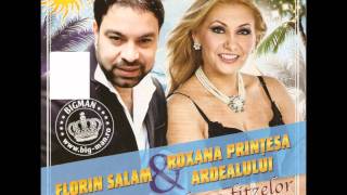 Florin Salam si Roxana Printesa Ardealului  Am acasa un tablou 2011 [upl. by Nivlam]