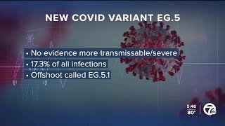 New coronavirus variant EG5 rises as cases hospitalizations increase [upl. by Gerti]