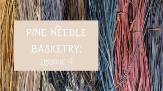 Dyeing Pine Needles for Basketry Adding character to your basket [upl. by Nohj]