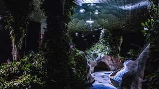 A Trial Run for the Lowline Worlds First Underground Park [upl. by Uliram]