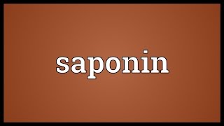 Saponin Meaning [upl. by Monson223]