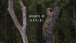 Insights of Kabini  Oct 2018 [upl. by Ahsenot]