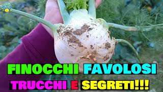 FINOCCHI Favolosi TUTORIAL TRUCCHI e SEGRETI [upl. by Eimmit]