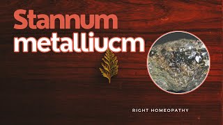 Stannum metallicum  HERF  Right Homeopathy [upl. by Debarath]