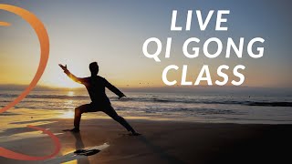 20Minute Live Qi Gong Class with Lee Holden [upl. by Ila]