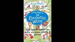 The Enchanted Wood Chapter 23 [upl. by Effy]