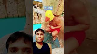 Diving in water water park shorts trending funny [upl. by Etnasa]