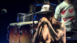 RHCP  Bonnaroo Festival 2012 Full Show [upl. by Anivlis897]