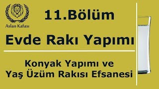 Ev Yapımı Yeşil Üzüm Rakısı Denemesi  7 kere Filtrelenmiş Etil Alkol ile denedik DiY [upl. by Libby]