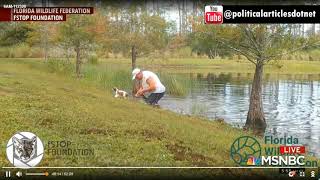 Video Watch a python fight and strangle an alligator [upl. by Rentsch413]