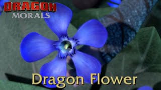 Dragon Flower  Dragon Morals 9  Everything Wrong with amp Everything Great with [upl. by Enillebyam]